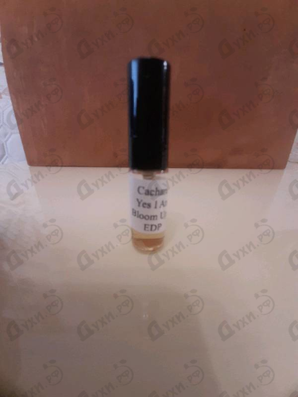 Парфюмерия Cacharel Yes I Am Bloom Up!