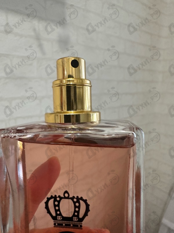 Парфюмерия Dolce & Gabbana Q