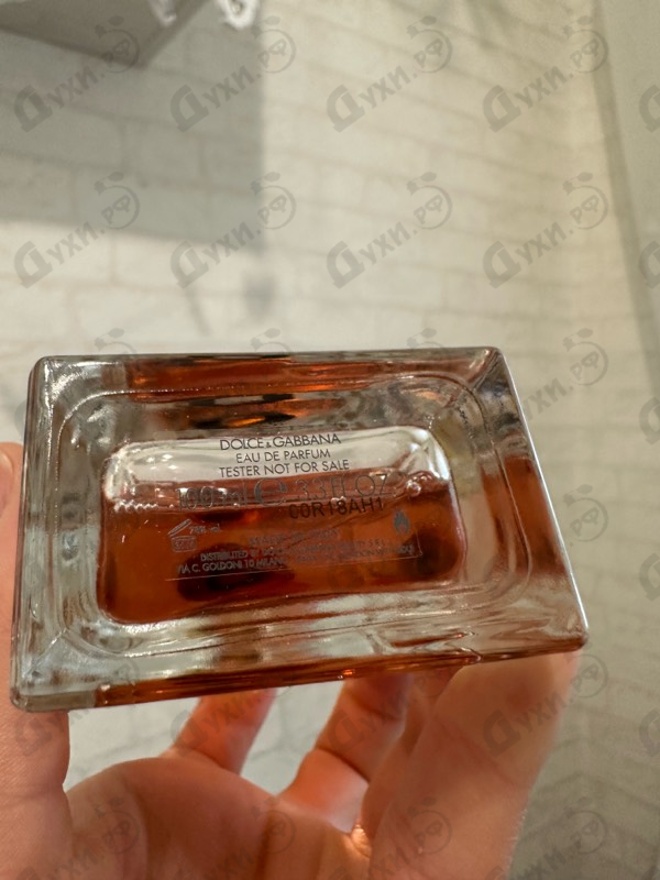 Парфюмерия Q от Dolce & Gabbana