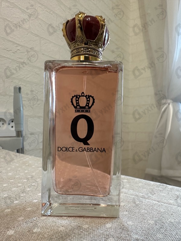 Купить Q от Dolce & Gabbana