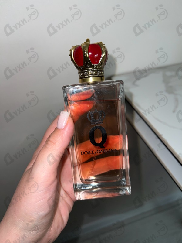Купить Dolce & Gabbana Q