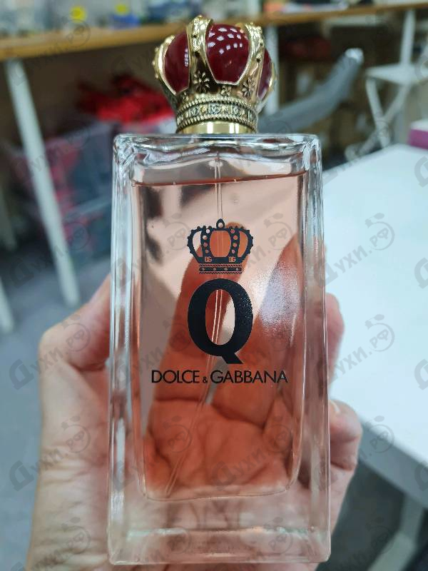 Купить Q от Dolce & Gabbana