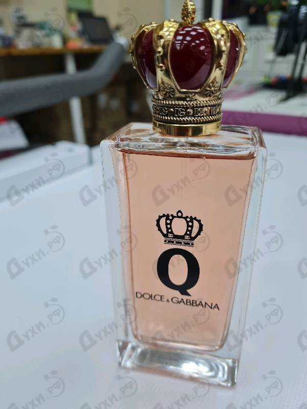 Купить Q от Dolce & Gabbana