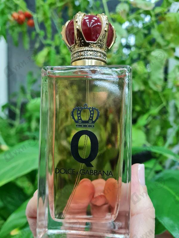 Парфюмерия Q от Dolce & Gabbana