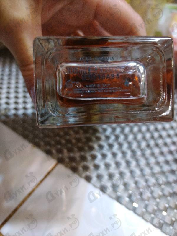 Купить Q от Dolce & Gabbana