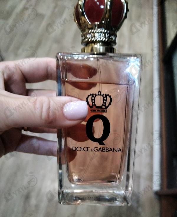 Купить Dolce & Gabbana Q