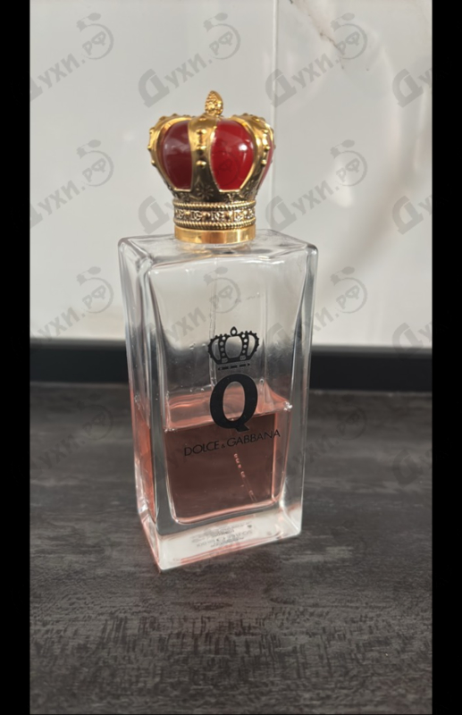 Купить Q от Dolce & Gabbana
