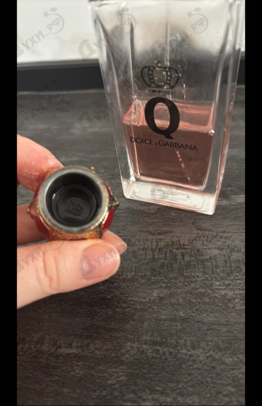 Купить Q от Dolce & Gabbana