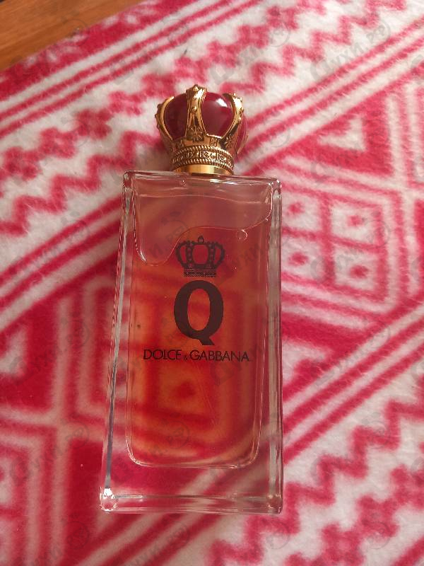 Купить Q от Dolce & Gabbana