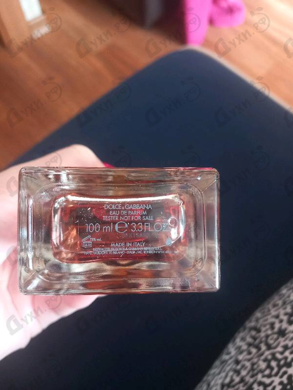 Отзывы Dolce & Gabbana Q