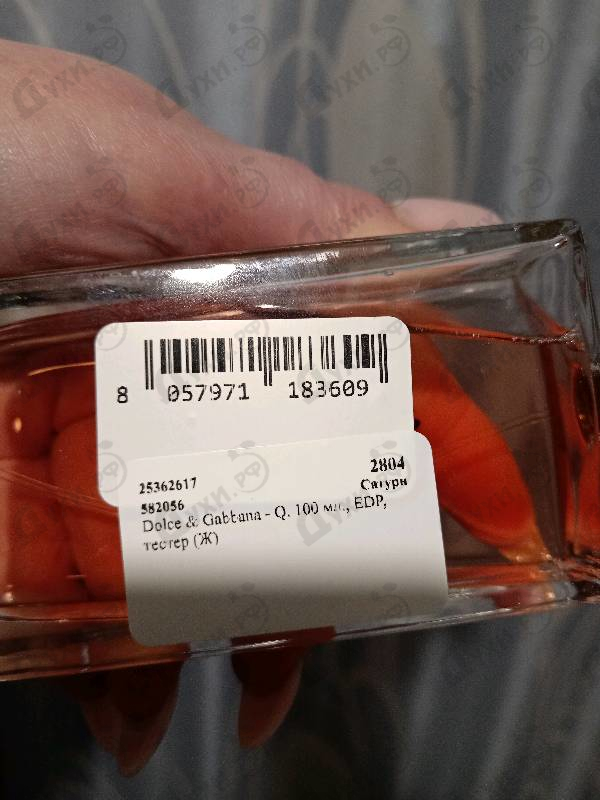 Купить Q от Dolce & Gabbana