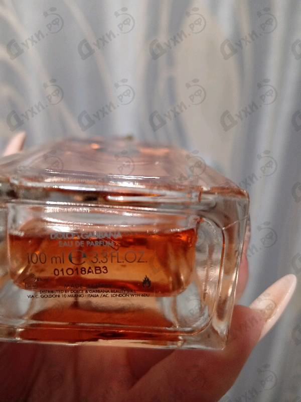 Отзыв Dolce & Gabbana Q