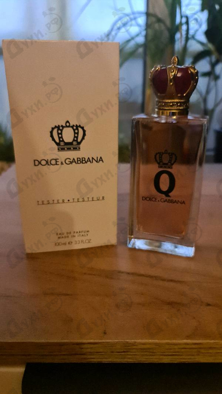 Купить Dolce & Gabbana Q
