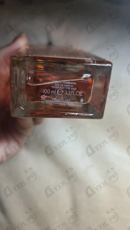 Купить Q от Dolce & Gabbana