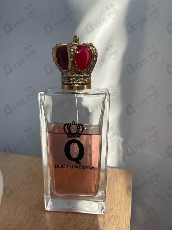 Купить Dolce & Gabbana Q
