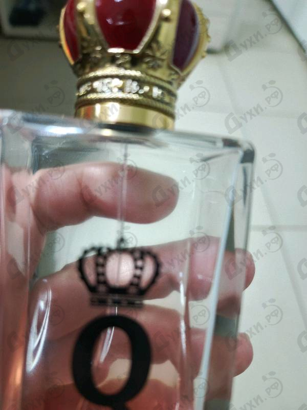 Духи Q от Dolce & Gabbana