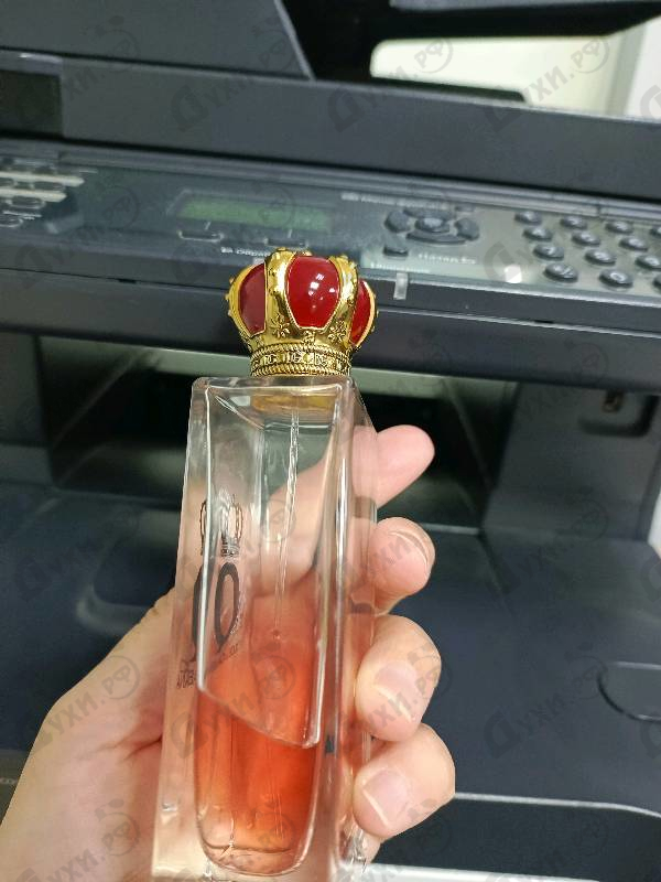 Духи Q от Dolce & Gabbana
