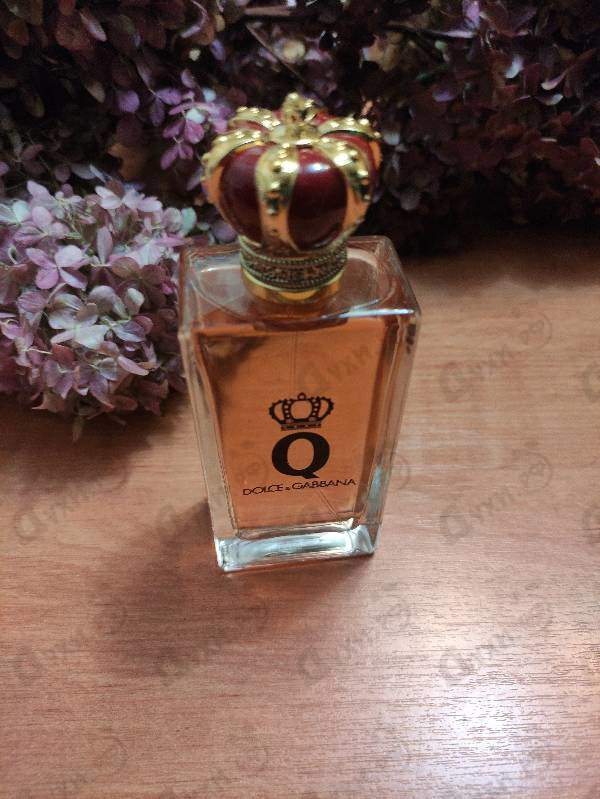 Парфюмерия Q от Dolce & Gabbana