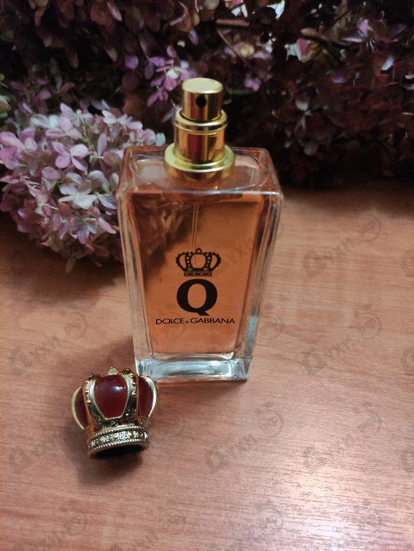 Парфюмерия Q от Dolce & Gabbana