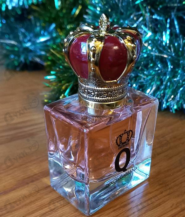 Купить Q от Dolce & Gabbana