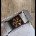 Отзыв Dolce & Gabbana Q