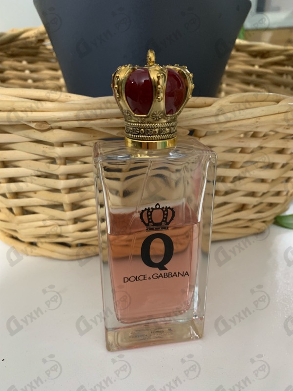 Купить Dolce & Gabbana Q