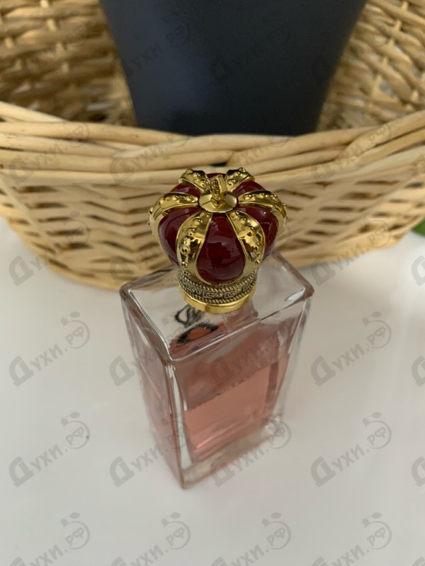 Отзывы Dolce & Gabbana Q