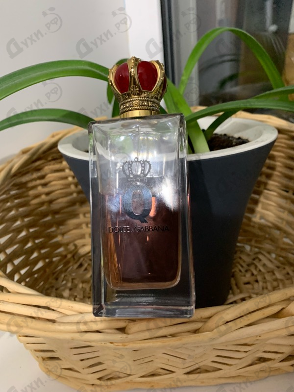 Купить Dolce & Gabbana Q