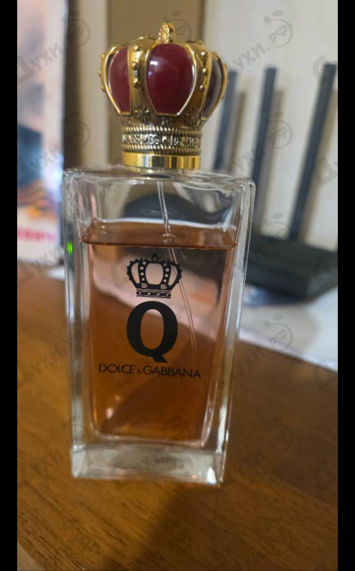 Отзывы Dolce & Gabbana Q