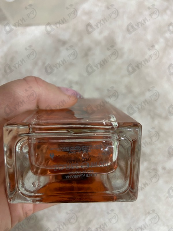 Купить Q от Dolce & Gabbana