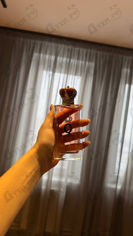 Купить Dolce & Gabbana Q