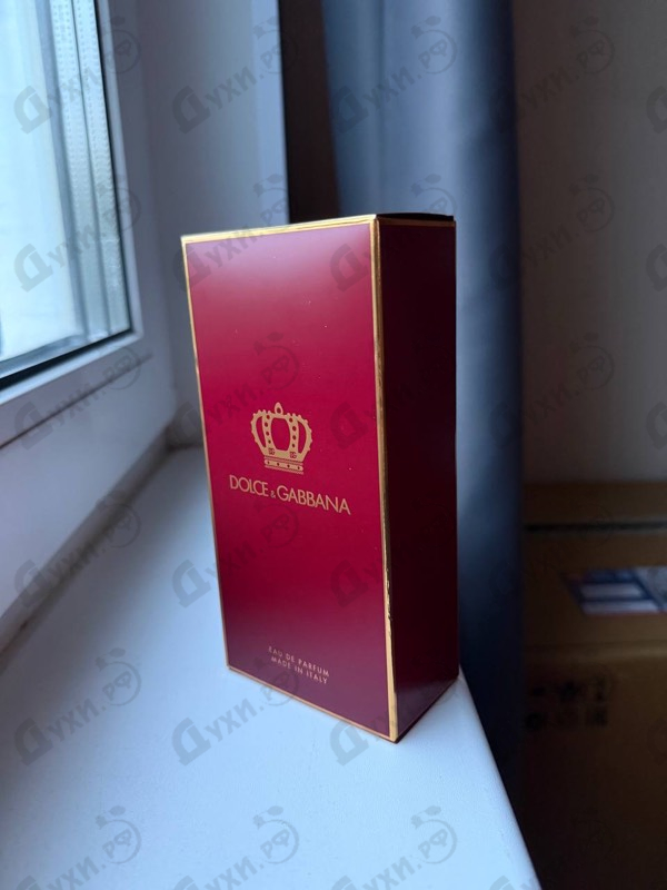 Духи Q от Dolce & Gabbana