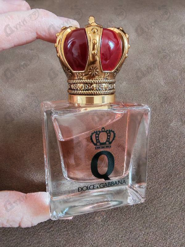 Отзывы Dolce & Gabbana Q