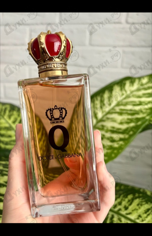 Купить Dolce & Gabbana Q