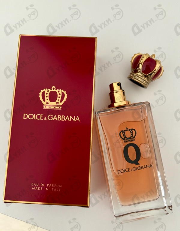 Купить Dolce & Gabbana Q
