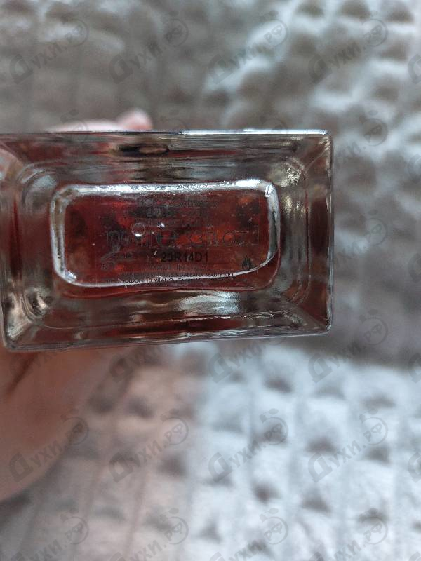 Духи Q от Dolce & Gabbana