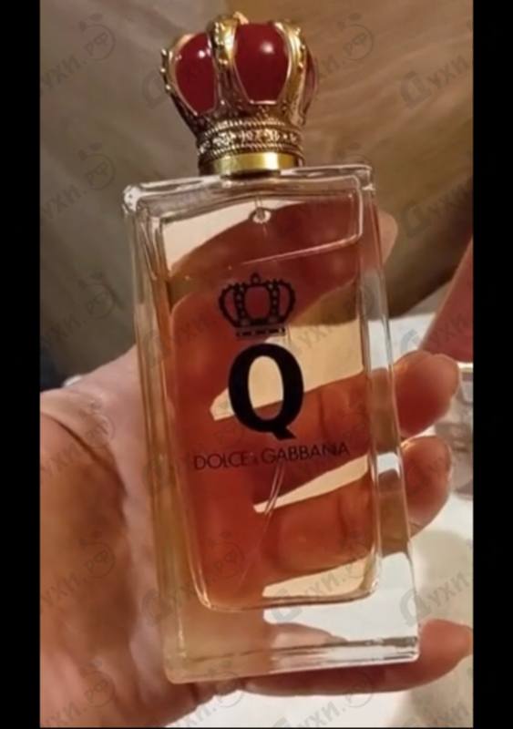 Парфюмерия Q от Dolce & Gabbana