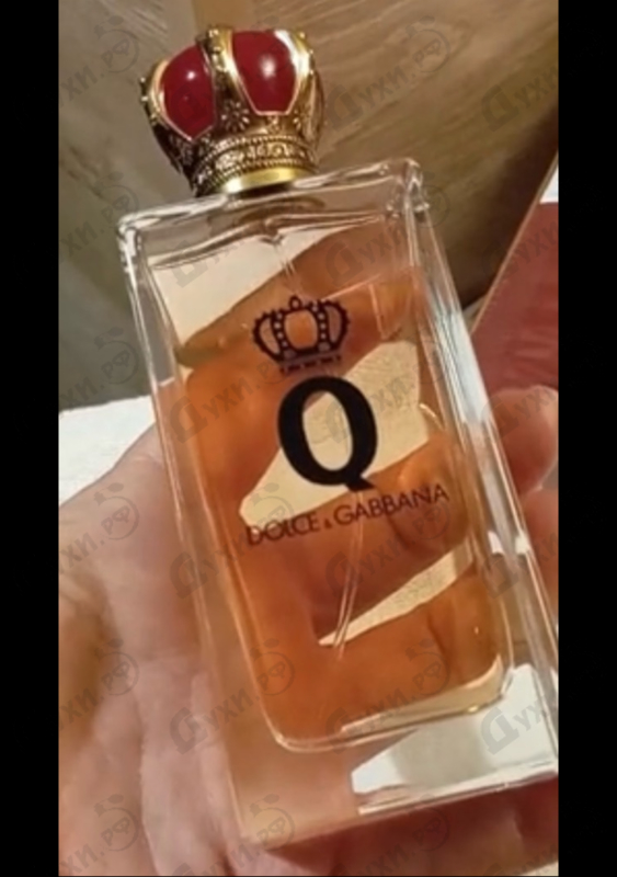 Отзыв Dolce & Gabbana Q