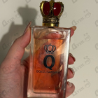 Отзыв Dolce & Gabbana Q