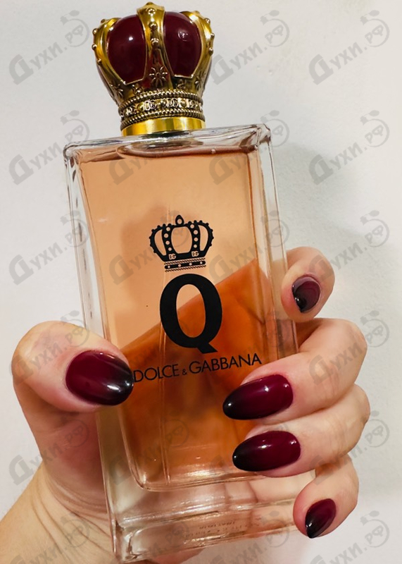 Отзыв Dolce & Gabbana Q
