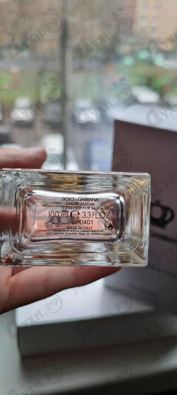 Купить Q от Dolce & Gabbana