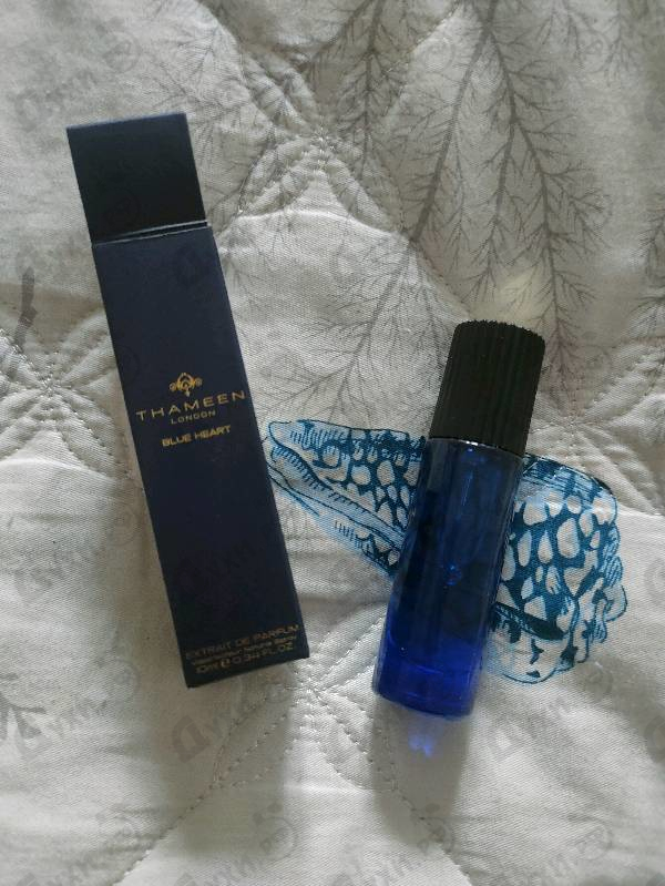 Купить Blue Heart от Thameen