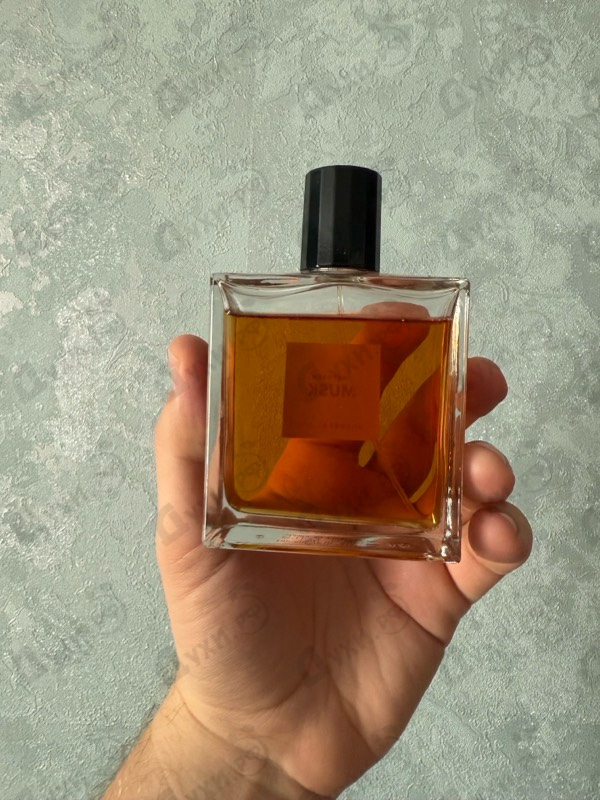 Купить Unspoken Musk от Francesca Bianchi