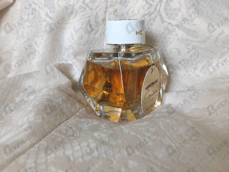 Купить Signature Absolue от Mont Blanc