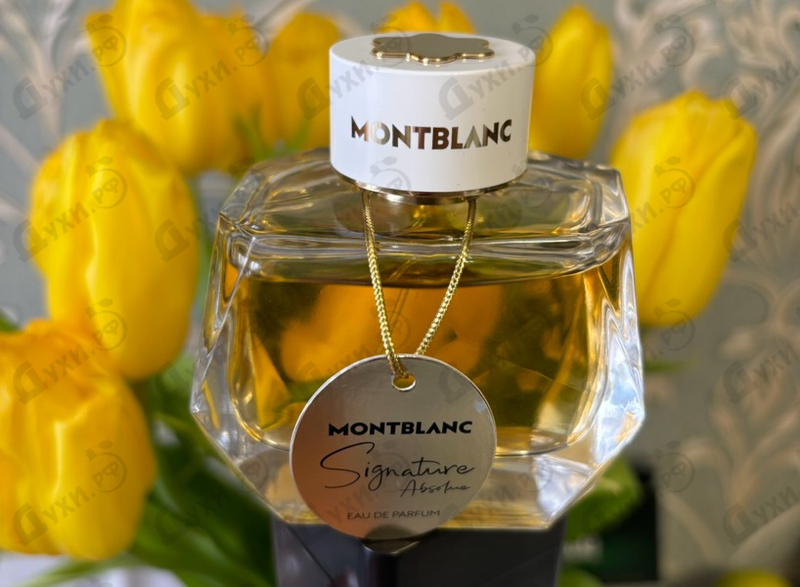 Отзывы Mont Blanc Signature Absolue