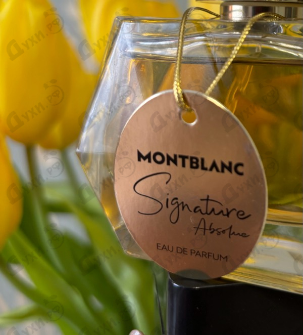 Купить Signature Absolue от Mont Blanc