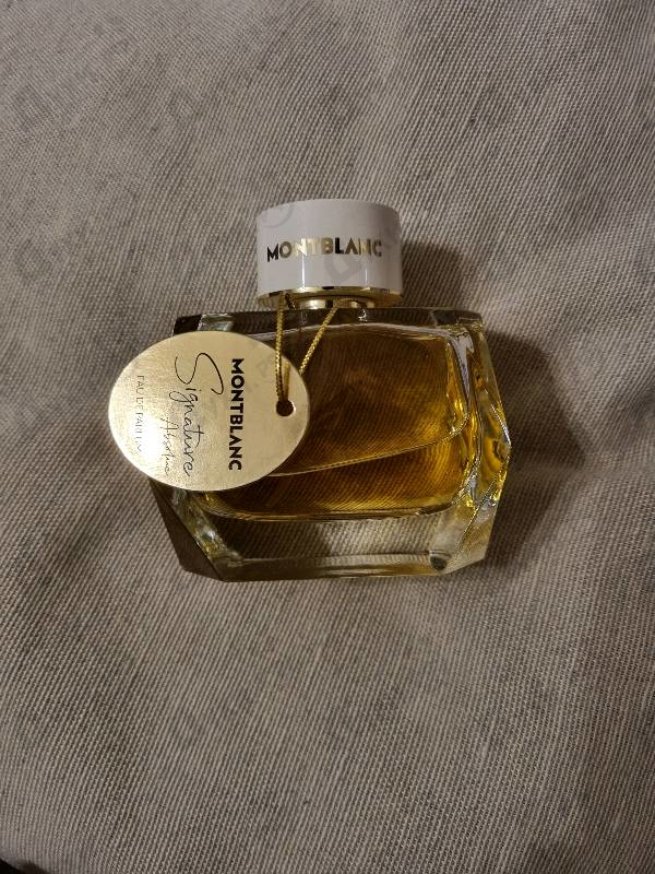 Купить Signature Absolue от Mont Blanc