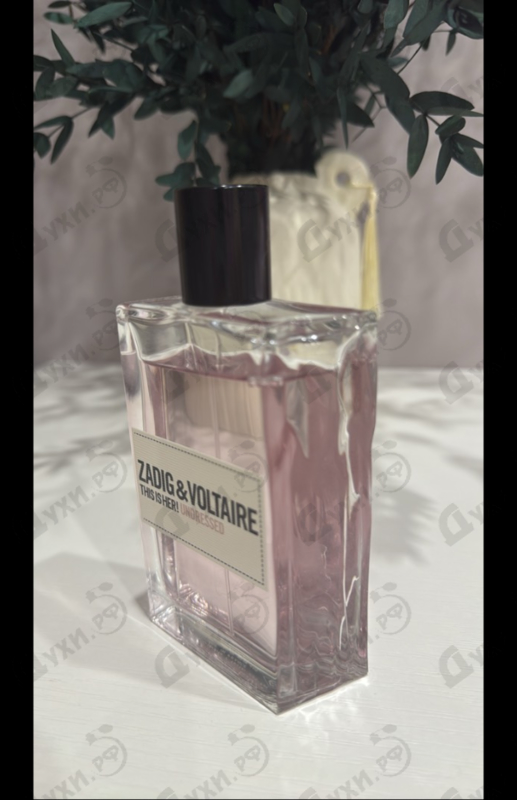 Купить This Is Her! Undressed от Zadig & Voltaire