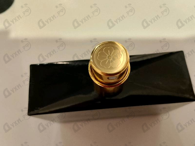 Купить Sand And Skin от Floraiku