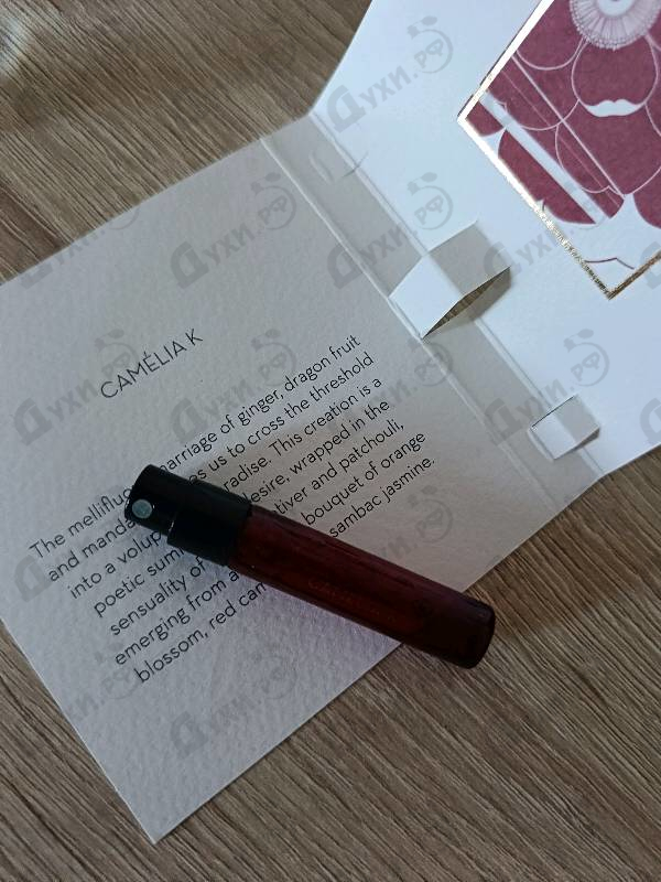 Отзыв Ella K Camelia K